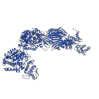 4577_6ql5_L_v1-1
Structure of fatty acid synthase complex with bound gamma subunit from Saccharomyces cerevisiae at 2.8 angstrom