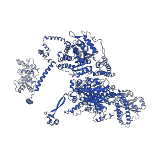 4578_6ql6_A_v1-2
Structure of Fatty acid synthase complex from Saccharomyces cerevisiae at 2.9 Angstrom