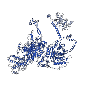 4578_6ql6_B_v1-2
Structure of Fatty acid synthase complex from Saccharomyces cerevisiae at 2.9 Angstrom