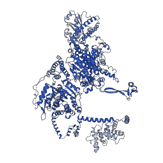 4578_6ql6_C_v1-2
Structure of Fatty acid synthase complex from Saccharomyces cerevisiae at 2.9 Angstrom
