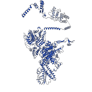 4578_6ql6_D_v1-2
Structure of Fatty acid synthase complex from Saccharomyces cerevisiae at 2.9 Angstrom