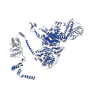 4578_6ql6_E_v1-2
Structure of Fatty acid synthase complex from Saccharomyces cerevisiae at 2.9 Angstrom