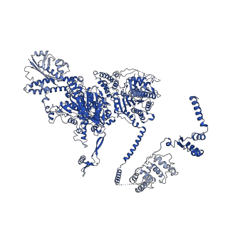 4578_6ql6_F_v1-2
Structure of Fatty acid synthase complex from Saccharomyces cerevisiae at 2.9 Angstrom