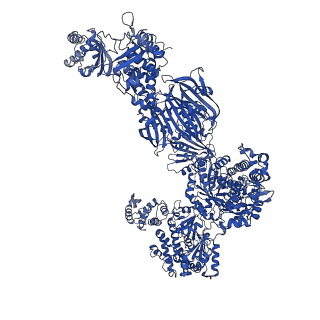 4578_6ql6_G_v1-2
Structure of Fatty acid synthase complex from Saccharomyces cerevisiae at 2.9 Angstrom