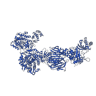 4578_6ql6_H_v1-2
Structure of Fatty acid synthase complex from Saccharomyces cerevisiae at 2.9 Angstrom