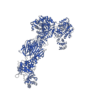 4578_6ql6_I_v1-2
Structure of Fatty acid synthase complex from Saccharomyces cerevisiae at 2.9 Angstrom