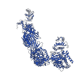 4578_6ql6_J_v1-2
Structure of Fatty acid synthase complex from Saccharomyces cerevisiae at 2.9 Angstrom