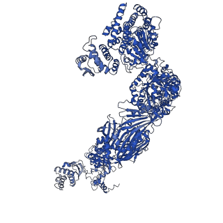 4578_6ql6_K_v1-2
Structure of Fatty acid synthase complex from Saccharomyces cerevisiae at 2.9 Angstrom
