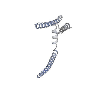 4579_6qld_H_v1-2
Structure of inner kinetochore CCAN-Cenp-A complex