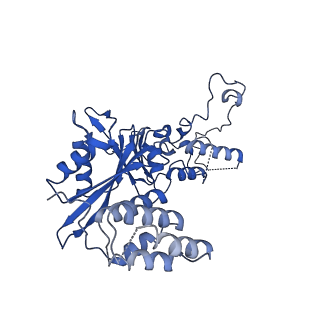 4579_6qld_N_v1-2
Structure of inner kinetochore CCAN-Cenp-A complex