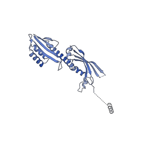 4579_6qld_P_v1-2
Structure of inner kinetochore CCAN-Cenp-A complex