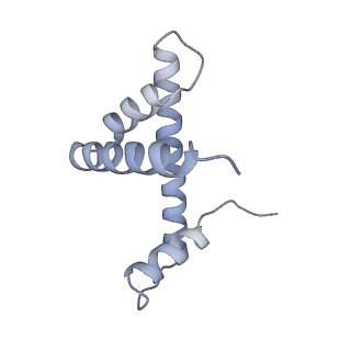 4579_6qld_h_v1-2
Structure of inner kinetochore CCAN-Cenp-A complex