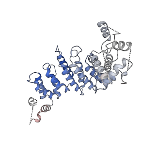 4580_6qle_I_v1-2
Structure of inner kinetochore CCAN complex