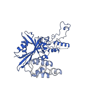 4580_6qle_N_v1-2
Structure of inner kinetochore CCAN complex