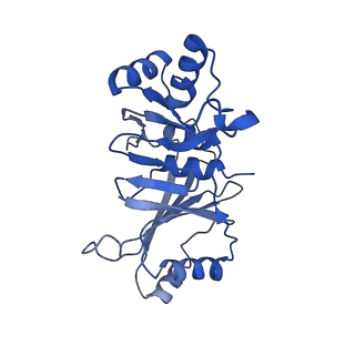 4581_6qlf_L_v1-2
Structure of inner kinetochore CCAN complex with mask1