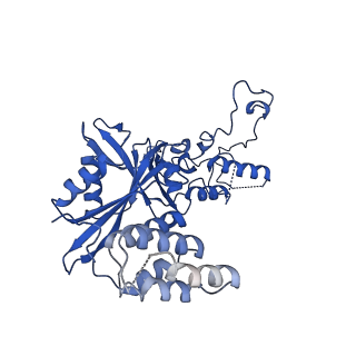 4581_6qlf_N_v1-2
Structure of inner kinetochore CCAN complex with mask1