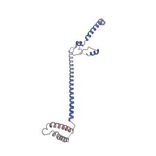 4581_6qlf_Q_v1-2
Structure of inner kinetochore CCAN complex with mask1