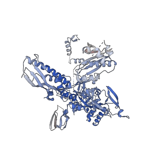 18496_8qma_A_v1-2
Structure of the plastid-encoded RNA polymerase complex (PEP) from Sinapis alba