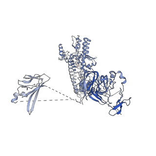 18496_8qma_B_v1-2
Structure of the plastid-encoded RNA polymerase complex (PEP) from Sinapis alba