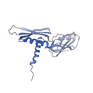 18496_8qma_C_v1-2
Structure of the plastid-encoded RNA polymerase complex (PEP) from Sinapis alba