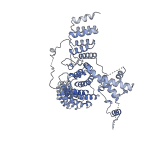 18496_8qma_E_v1-2
Structure of the plastid-encoded RNA polymerase complex (PEP) from Sinapis alba