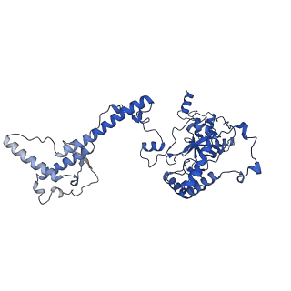 18496_8qma_F_v1-2
Structure of the plastid-encoded RNA polymerase complex (PEP) from Sinapis alba
