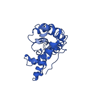 18496_8qma_G_v1-2
Structure of the plastid-encoded RNA polymerase complex (PEP) from Sinapis alba