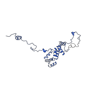 18496_8qma_H_v1-2
Structure of the plastid-encoded RNA polymerase complex (PEP) from Sinapis alba