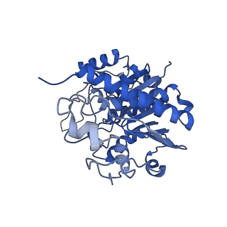 18496_8qma_I_v1-2
Structure of the plastid-encoded RNA polymerase complex (PEP) from Sinapis alba