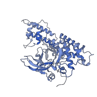 18496_8qma_J_v1-2
Structure of the plastid-encoded RNA polymerase complex (PEP) from Sinapis alba