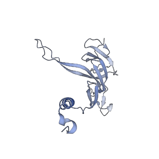 18496_8qma_K_v1-2
Structure of the plastid-encoded RNA polymerase complex (PEP) from Sinapis alba