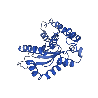 18496_8qma_L_v1-2
Structure of the plastid-encoded RNA polymerase complex (PEP) from Sinapis alba