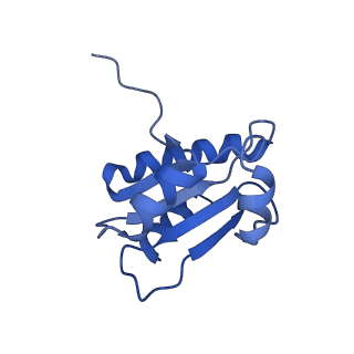 18496_8qma_M_v1-2
Structure of the plastid-encoded RNA polymerase complex (PEP) from Sinapis alba