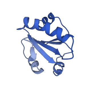 18496_8qma_N_v1-2
Structure of the plastid-encoded RNA polymerase complex (PEP) from Sinapis alba