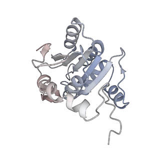 18496_8qma_O_v1-2
Structure of the plastid-encoded RNA polymerase complex (PEP) from Sinapis alba