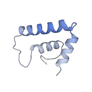 18496_8qma_P_v1-2
Structure of the plastid-encoded RNA polymerase complex (PEP) from Sinapis alba