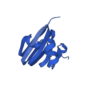 18496_8qma_R_v1-2
Structure of the plastid-encoded RNA polymerase complex (PEP) from Sinapis alba