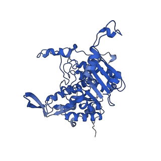 18496_8qma_S_v1-2
Structure of the plastid-encoded RNA polymerase complex (PEP) from Sinapis alba