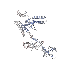 18496_8qma_T_v1-2
Structure of the plastid-encoded RNA polymerase complex (PEP) from Sinapis alba