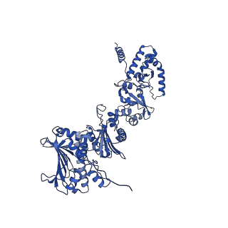 18498_8qmo_A_v1-0
Cryo-EM structure of the benzo[a]pyrene-bound Hsp90-XAP2-AHR complex