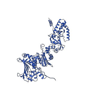 18498_8qmo_A_v1-1
Cryo-EM structure of the benzo[a]pyrene-bound Hsp90-XAP2-AHR complex