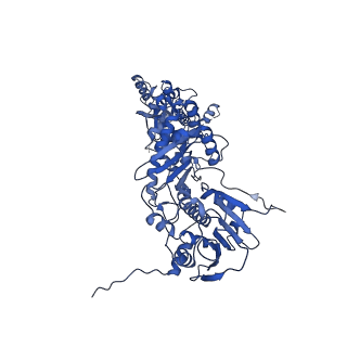 18498_8qmo_B_v1-1
Cryo-EM structure of the benzo[a]pyrene-bound Hsp90-XAP2-AHR complex
