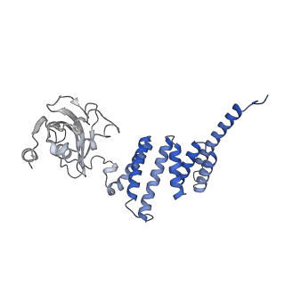 18498_8qmo_C_v1-1
Cryo-EM structure of the benzo[a]pyrene-bound Hsp90-XAP2-AHR complex