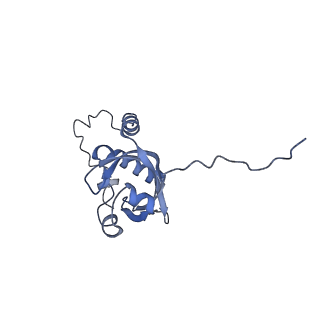 18498_8qmo_D_v1-0
Cryo-EM structure of the benzo[a]pyrene-bound Hsp90-XAP2-AHR complex