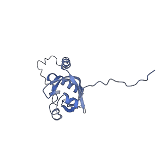 18498_8qmo_D_v1-1
Cryo-EM structure of the benzo[a]pyrene-bound Hsp90-XAP2-AHR complex