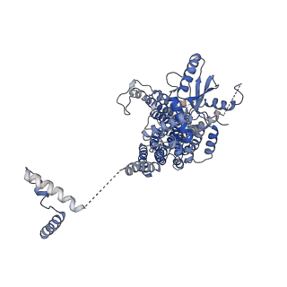 4587_6qm4_A_v1-1
Cryo-EM structure of calcium-free nhTMEM16 lipid scramblase in nanodisc