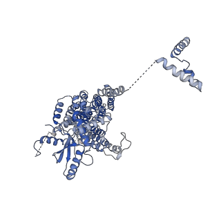 4587_6qm4_B_v1-1
Cryo-EM structure of calcium-free nhTMEM16 lipid scramblase in nanodisc