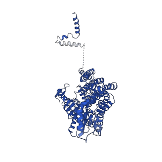 4588_6qm5_A_v1-1
Cryo-EM structure of calcium-bound nhTMEM16 lipid scramblase in DDM