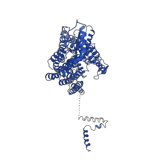 4588_6qm5_B_v1-1
Cryo-EM structure of calcium-bound nhTMEM16 lipid scramblase in DDM