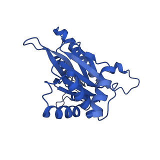 4590_6qm7_A_v1-2
Leishmania tarentolae proteasome 20S subunit complexed with GSK3494245
